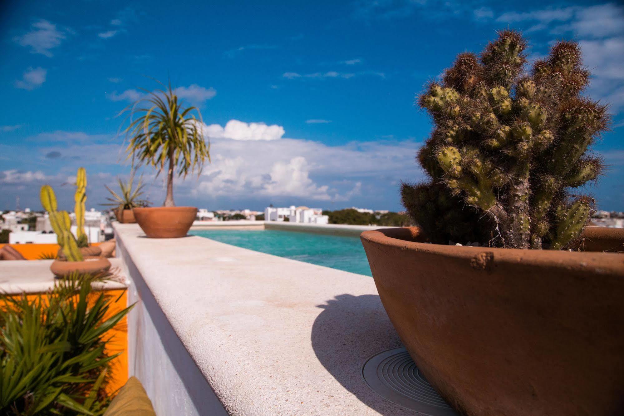 La Galeria By Bunik Hotel Playa del Carmen Eksteriør billede
