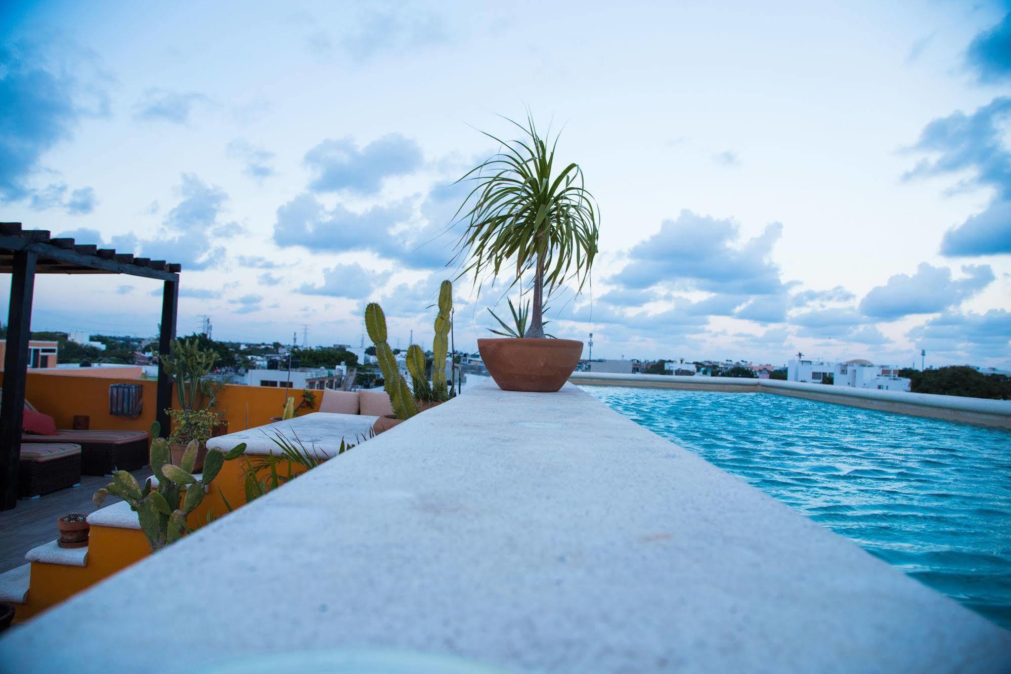 La Galeria By Bunik Hotel Playa del Carmen Eksteriør billede